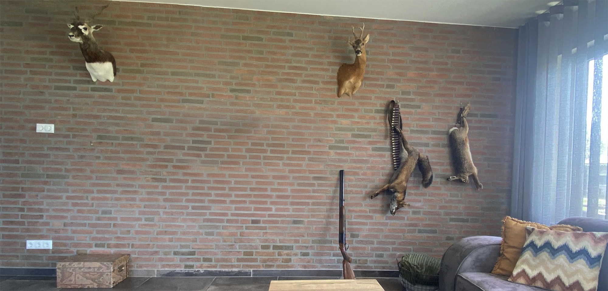Claessens Taxidermy