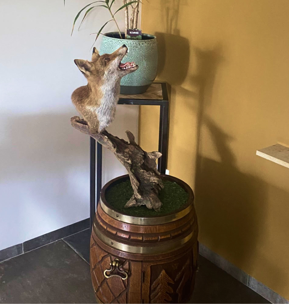 Over Claessens Taxidermy